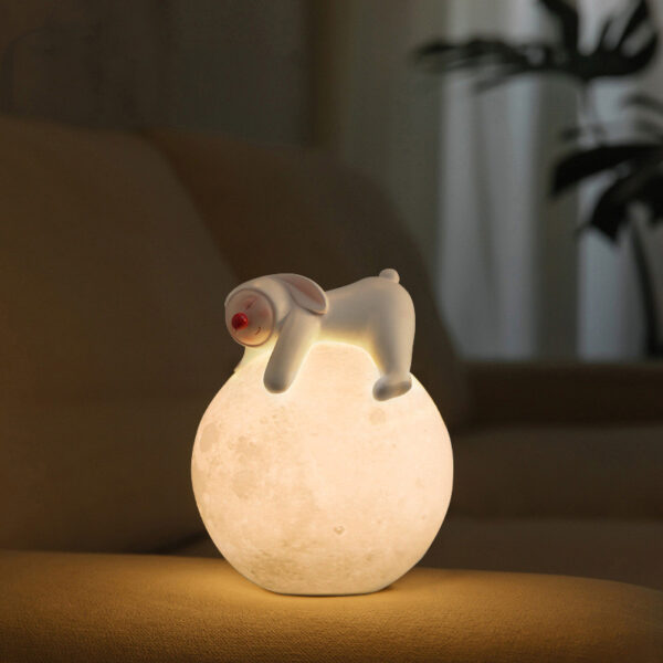 Sleeping on the Moon Night Light